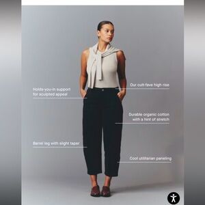 Everlane curve black pant